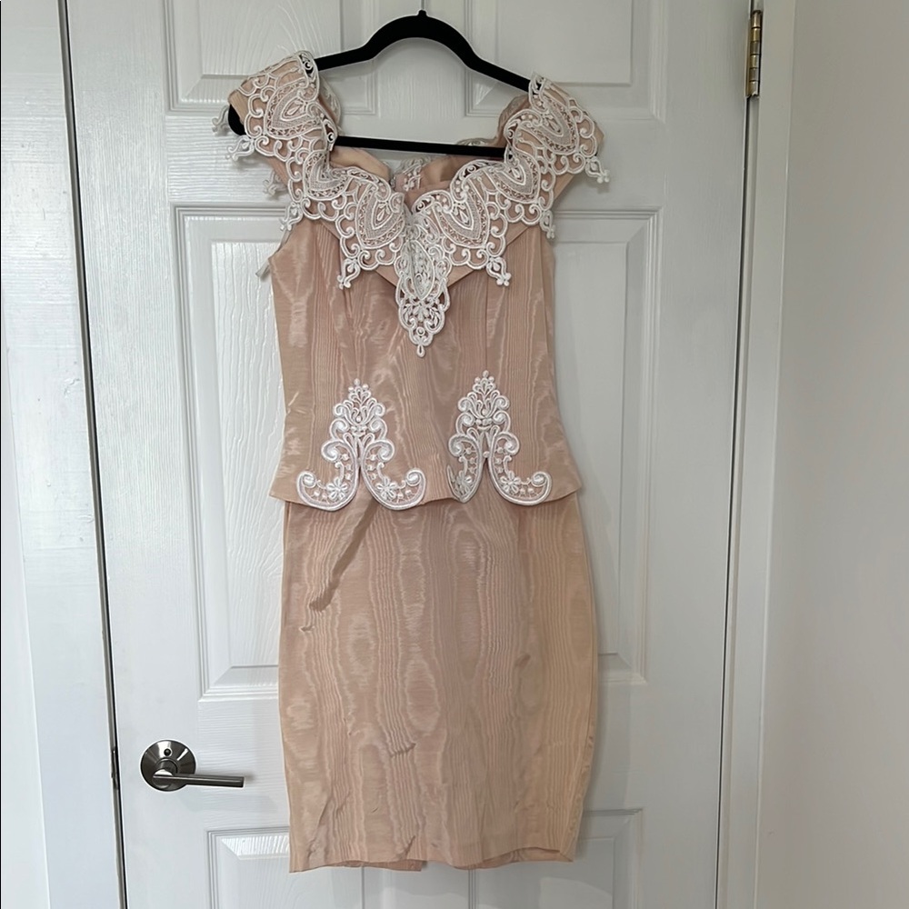 Scott McClintock Elegant Lace-Trimmed light pink Dress